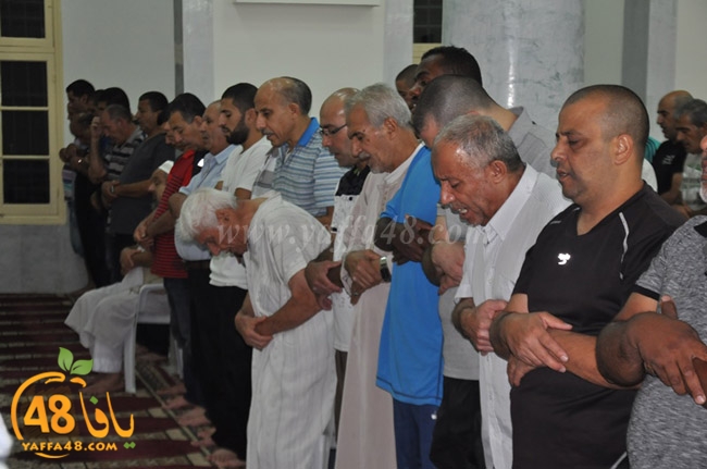 qader yaffa msajed (23).JPG